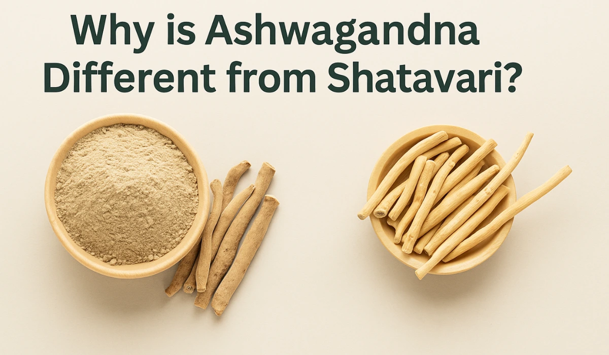 Why Ashwagandha Is Different From Shatavari